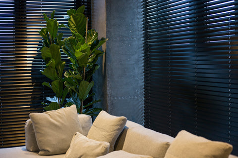 Slatted Fence Windbreak