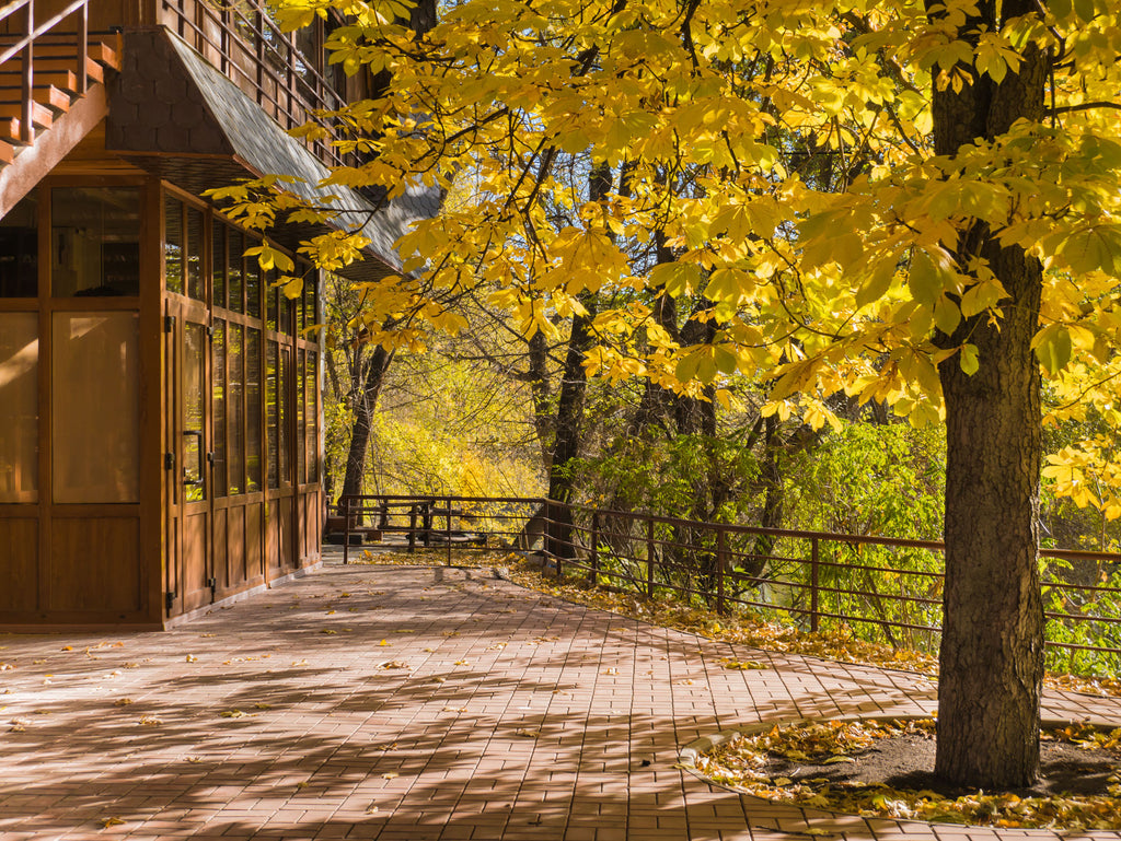 The Allure of Autumn: Why It's the Perfect Season for Outdoor Cooking